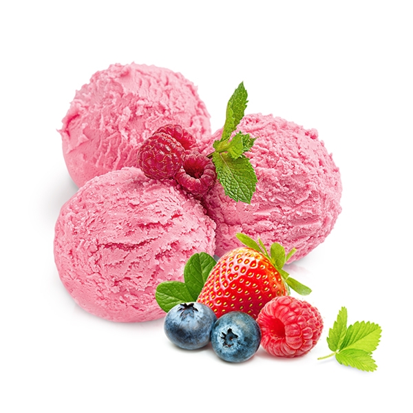 WALDFRUCHT - Premium Sorbet (5,2l Plastik)